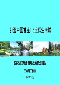 成都石象湖前期策划报告——王志刚