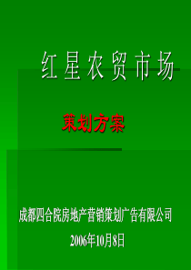 成都红星农贸市场策划方案