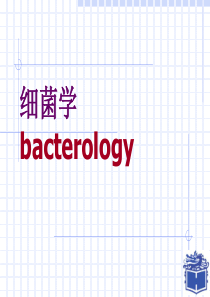 医学微生物学细菌学01-细菌的形态与结构