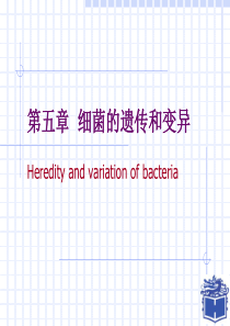 医学微生物学细菌学05-细菌的遗传和变异