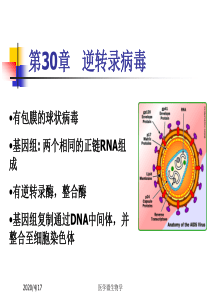 医学微生物学课件--第30章-逆转录病毒