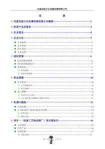 挑战杯创业策划书