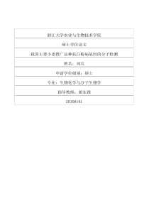 我国主要小麦推广品种抗白粉病基因的分子检测