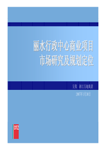 戴德梁行 经典商业前期策划报告