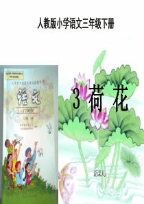 《荷花》说课ppt