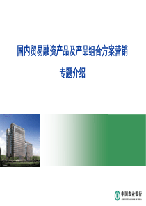 国内贸易融资产品及组合方案介绍