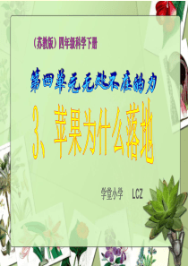 苏教小学科学四下《4.3.苹果为什么会落地》PPT课件(3)