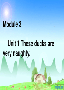 M3U1 These ducks are very naughty