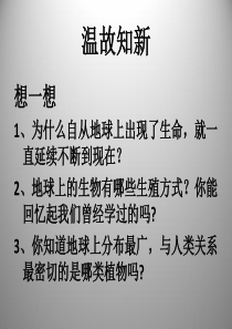 1.1 植物的生殖 课件1(新人教版八年级下册)