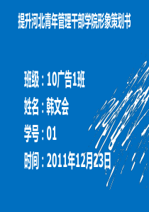 提升河北青年管理干部学院形象策划书