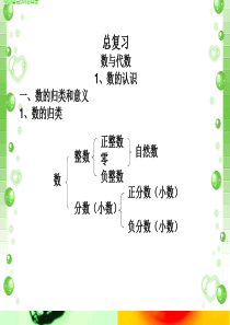 北师大版六年级下册数学总复习