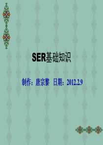 SER基础知识培训教材