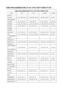 2019论文伊利股份有限公司资产负债表分析.doc