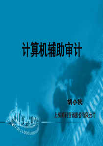 计算机辅助审计(ppt 66页)信息技术环境下对审计的思考