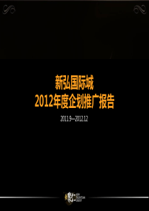 新弘国际城XXXX年度推广方案