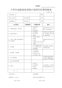 大创项目经费预算额度表