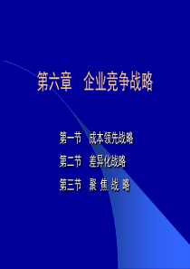 6.第六章--企业竞争战略