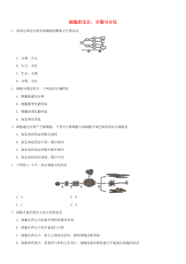 2019届中考生物细胞的生长、分裂与分化重要考点练习卷