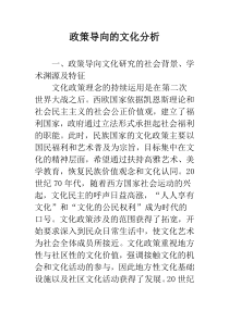 政策导向的文化分析