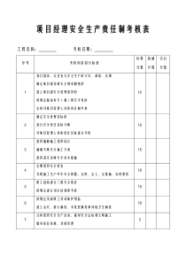 项目各岗位安全生产责任制考核表