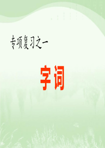 部编人教版六年级语文下册全册期末专项复习课件