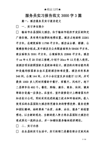 服务员实习报告范文3000字3