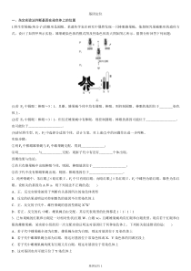 伴性遗传之基因定位系统辅导带答案和方法总结