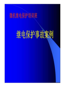 2019年最新-继电保护事故案例-精选文档