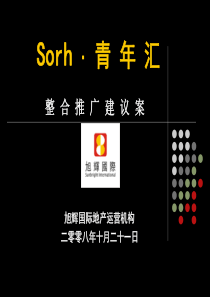 旭辉国际北京Sorh青年汇整合推广建议案45P