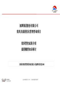 旭辉集团股份有限公司-组织管控及流程策划