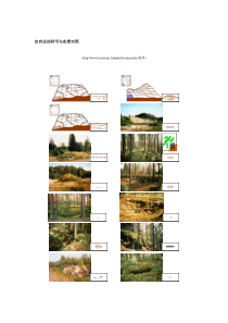 定向运动符号与实景对照101