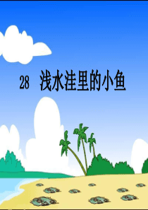 28.浅水洼里的小鱼PPT(图文)