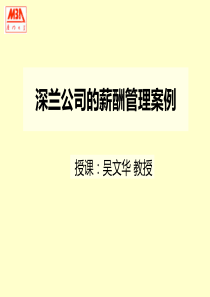 人力资源管理第七小组案例分析-深兰公司的薪酬管理v