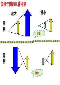 鲁教版9.9利用位似放缩图形(2)