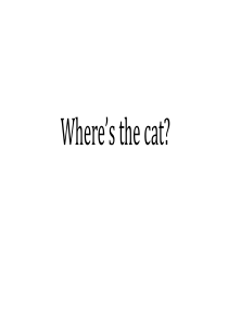 外研社新版三年级上-M8U2-Wheres-the-cat-PPT