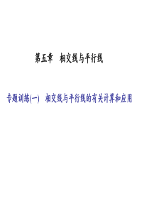 《相交线与平行线》专题训练(一)相交线与平行线的有关计算和应用(共21张PPT)