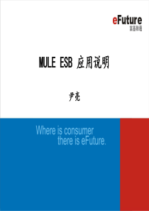 MULE-3.2-节点详解