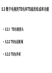 数字电视的TS包和TS流的组成与功能