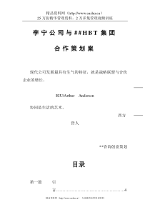 李宁公司与HBT集团合作策划案（DOC 65页）