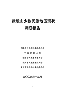 武陵山少数民族地区现状调研报告