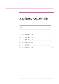 某某项目策划代理工作说明书doc10(1)