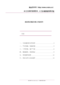 某某项目策划代理工作说明书doc10