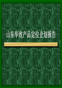 山东华玫产品定位企划报告（PPT70页）