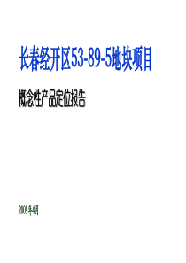 案例1-长春经开区53-89-5地块概念性策划报告090422版