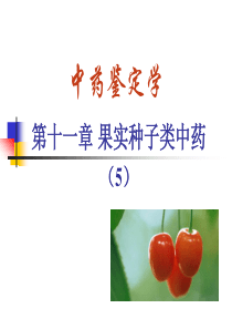 果实种子类中药(5)