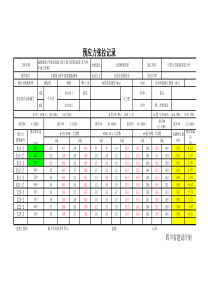 张拉记录表(编)