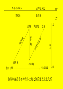 第八章-黄棕壤和黄褐土