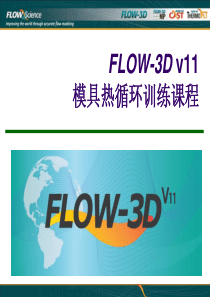 03、FLOW-3D-V11热循环和压室分析