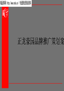 正龙豪园品牌推广策划案