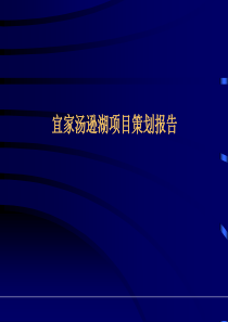 武汉宜家汤臣策划报告